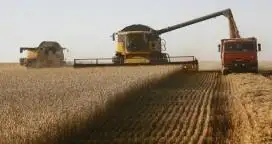 La liquidación de exportaciones del agro es la más alta en 19 meses