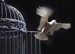 El país de la libertad