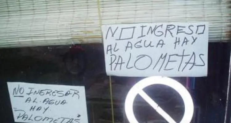 16 personas sufrieron mordeduras de “Palometas”