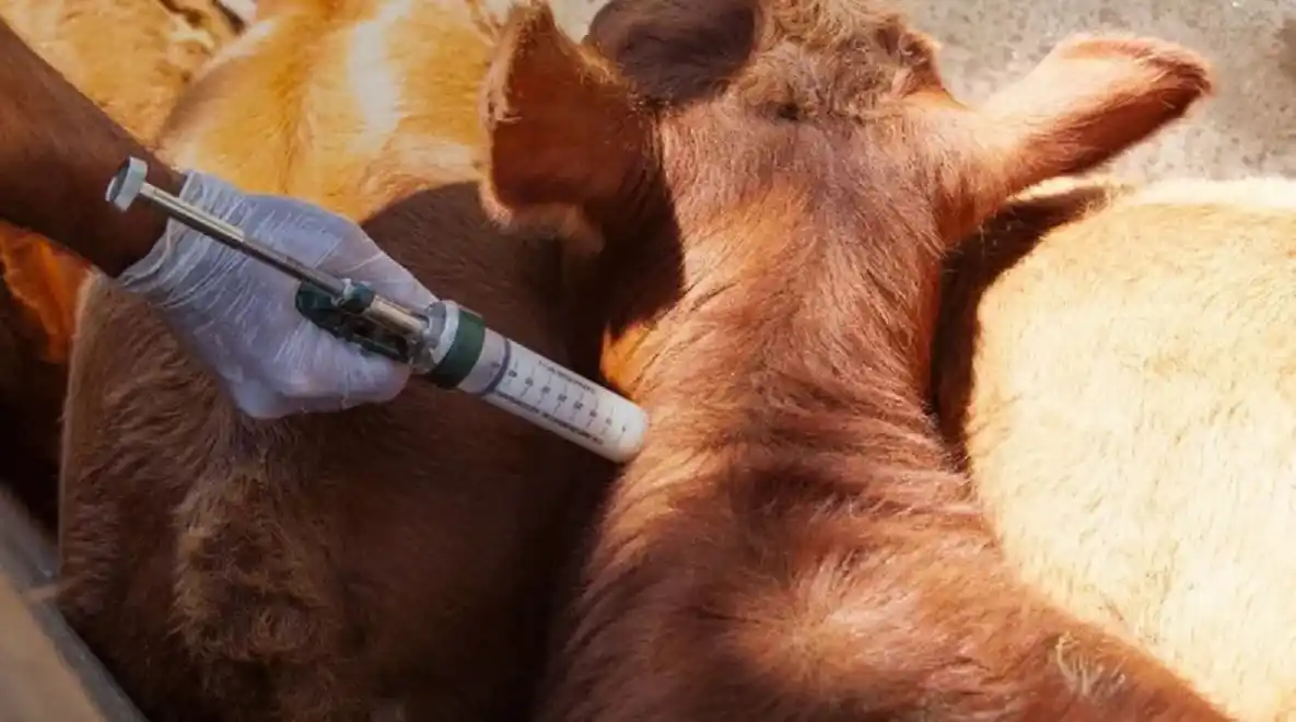 Fucofa definió su presupuesto anual y fijó los valores de las campañas sanitarias en Entre Ríos