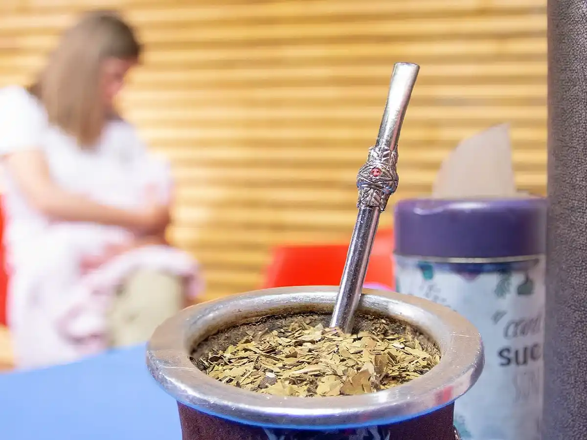 Un estudio afirma que es beneficioso consumir yerba mate durante la lactancia materna