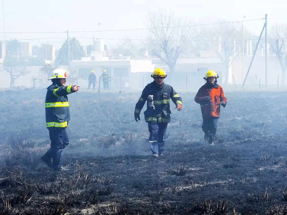 Se quemaron 60 rollos de moha en el incendio  de un campo en Frontera