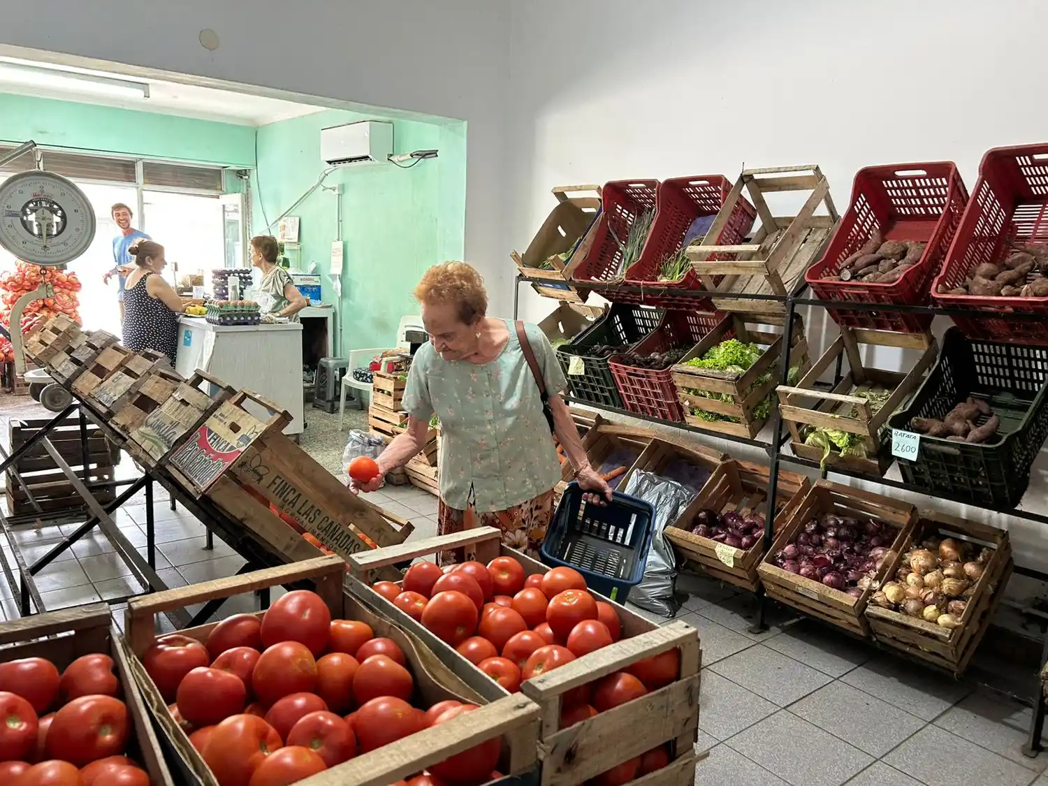 interior verdu 2