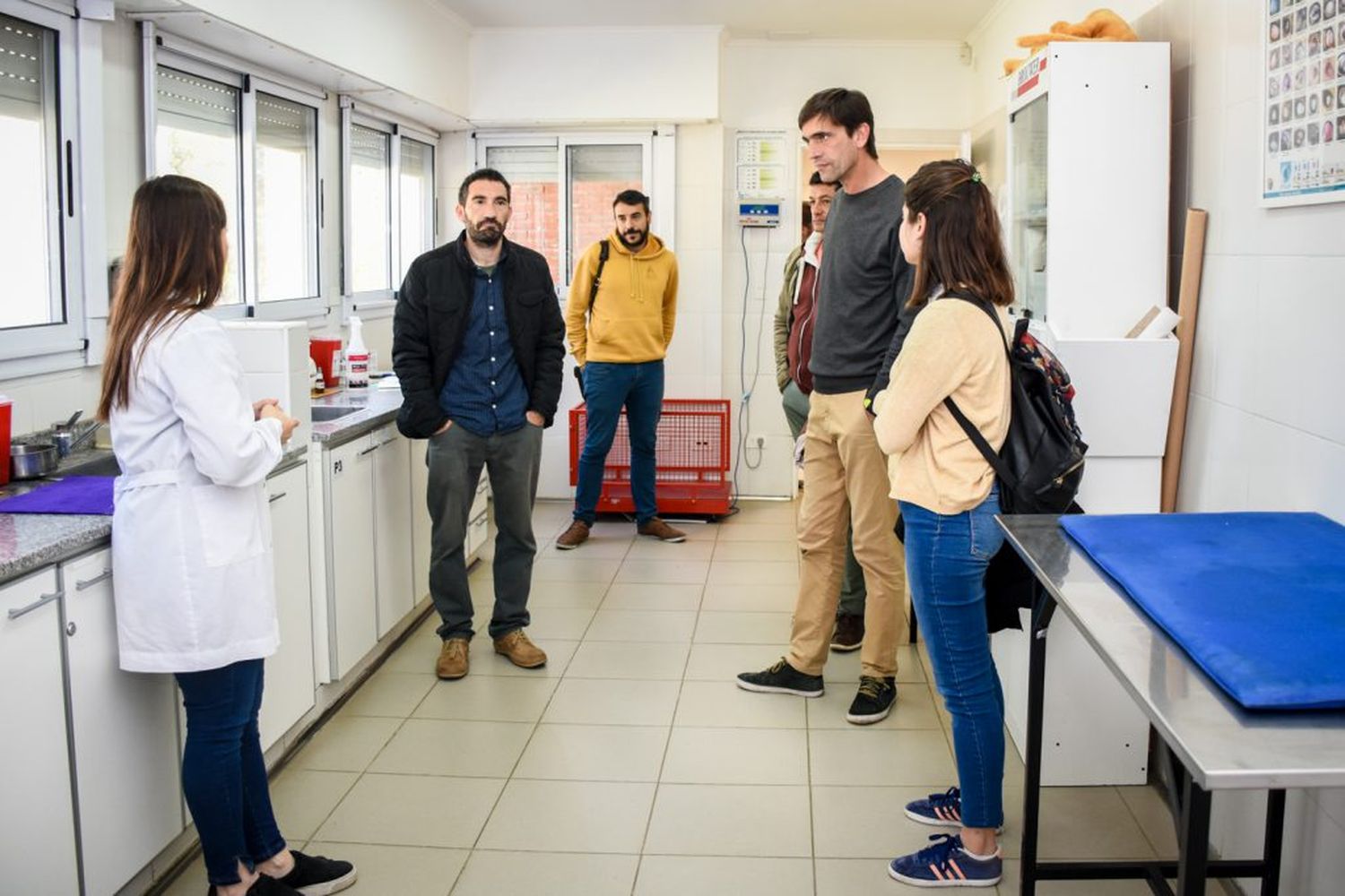 Iparraguirre propone construir un hospital municipal veterinario