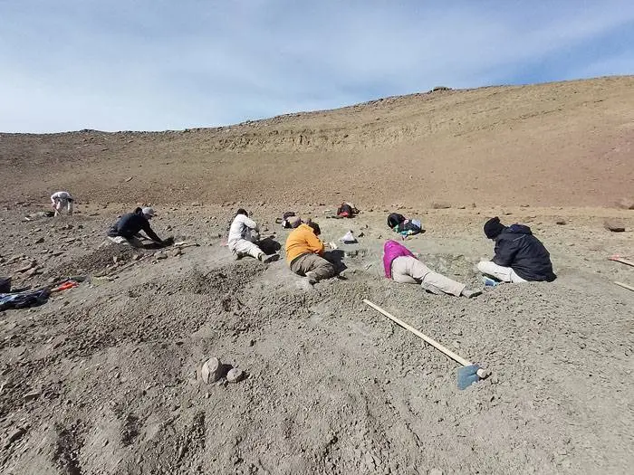 Descubren un ave que convivió  con los dinosaurios