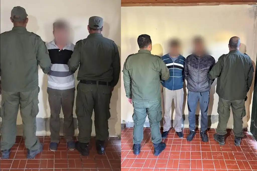 los pumas recupero animales fortin olmos detenidos - 1