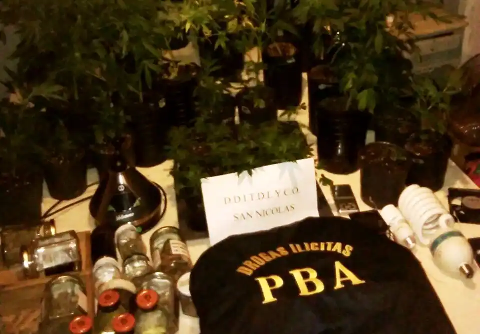 Pergamino: Desbaratan banda que vendía drogas en fiestas electrónicas