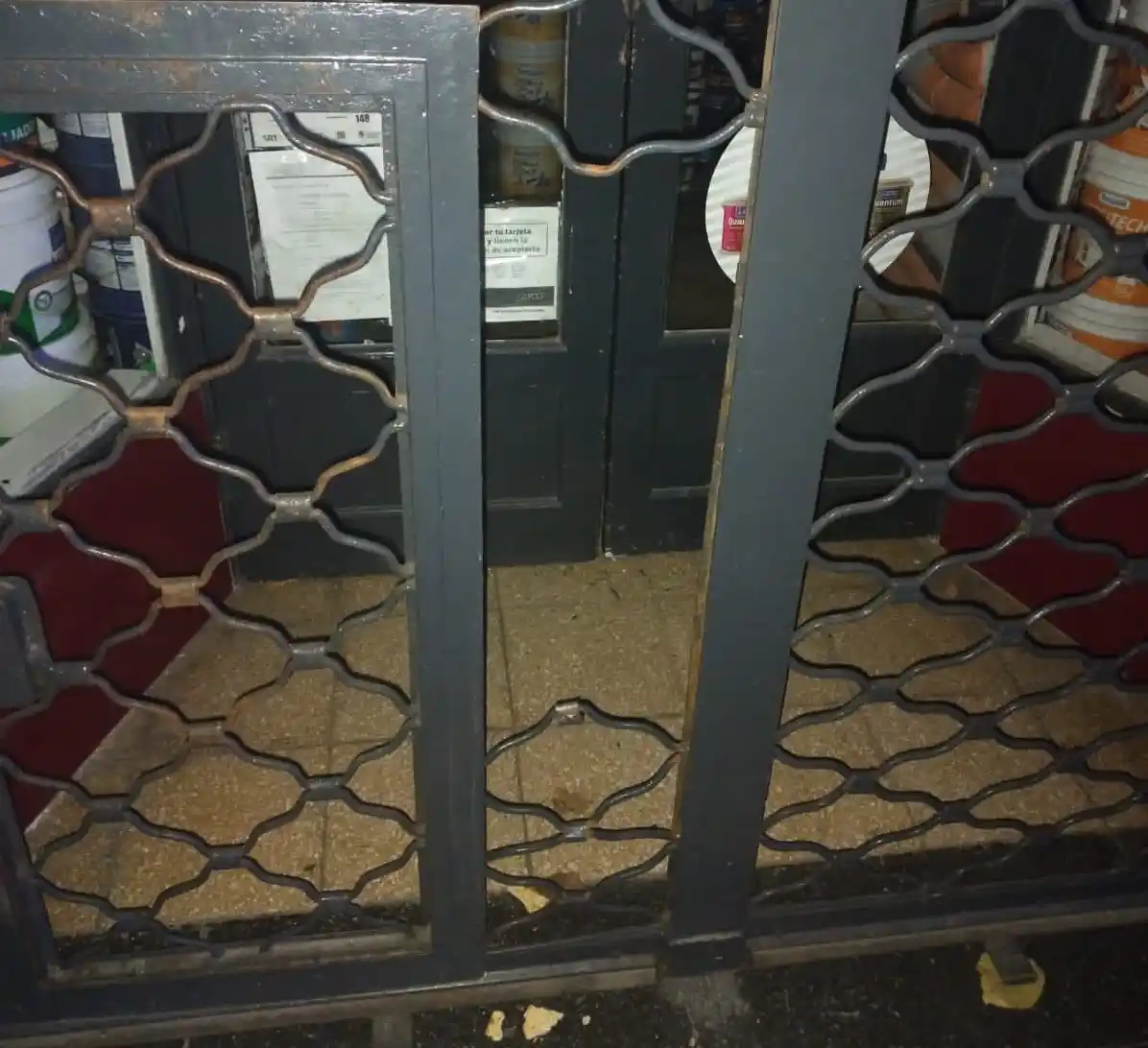 El hecho fue registrado en Alvarado entre Salta y Jujuy.