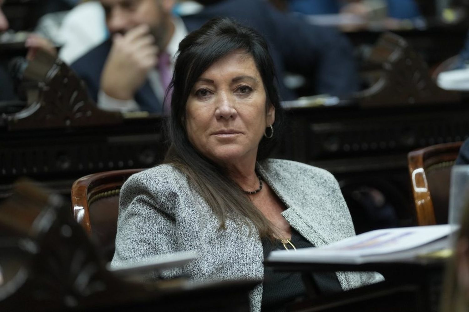 Laura Rodríguez Machado, presidenta de la Comisión de Legislación Penal de Diputados.