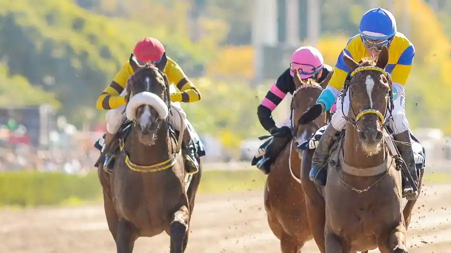 Viernes 01/12: Actividad Hipódromo de Palermo