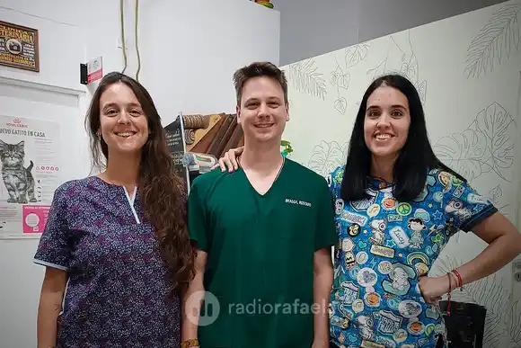 El frío y las mascotas: ¿qué cuidados se merecen los animalitos?