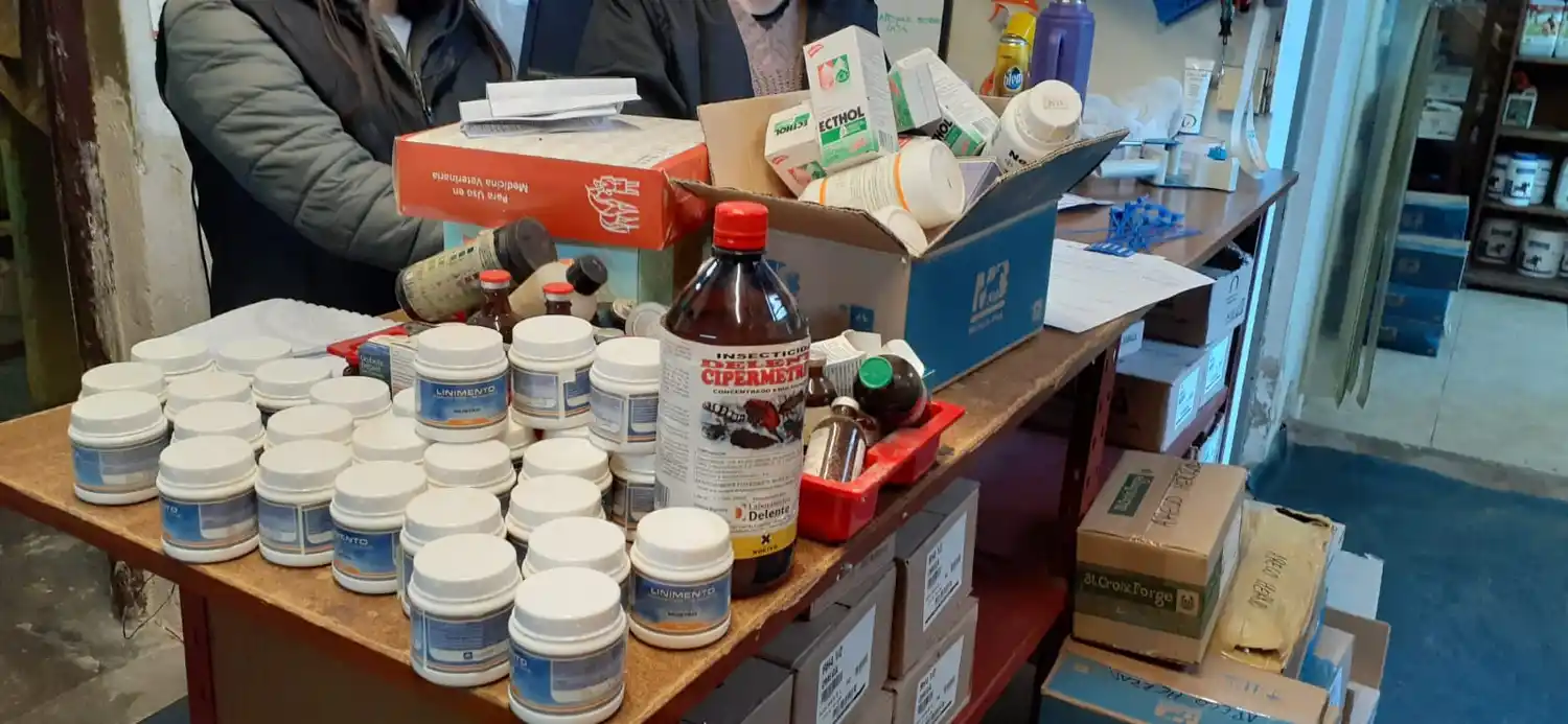 Incautaron productos veterinarios ilegales cerca del hipódromo de La Plata
