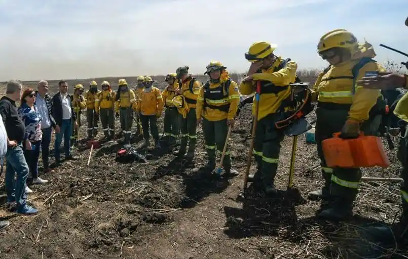 Brigadistas santafesinos.