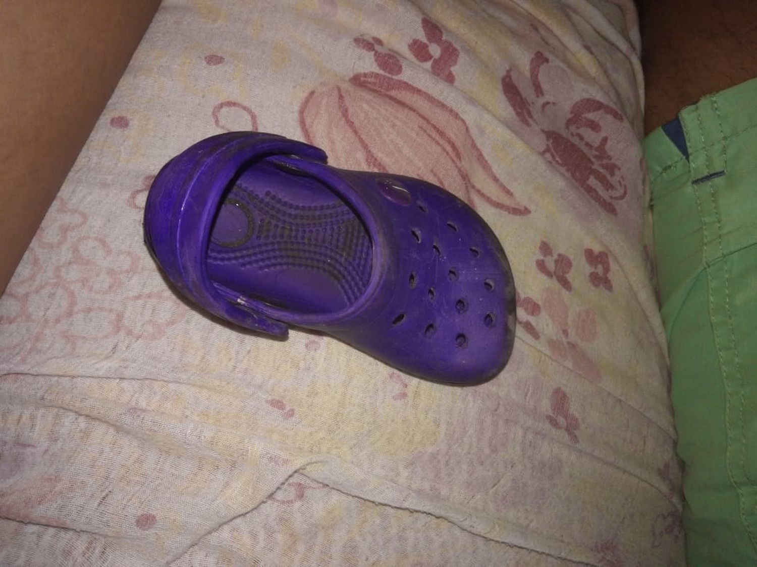 Croc encontrada