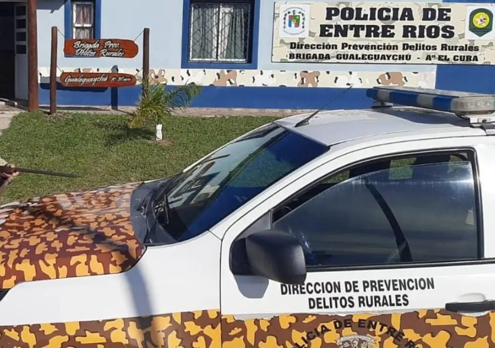 Un nene de 7 años sufrió convulsiones cuando iba en auto por la Autovía Artigas: la acción que le salvó la vida