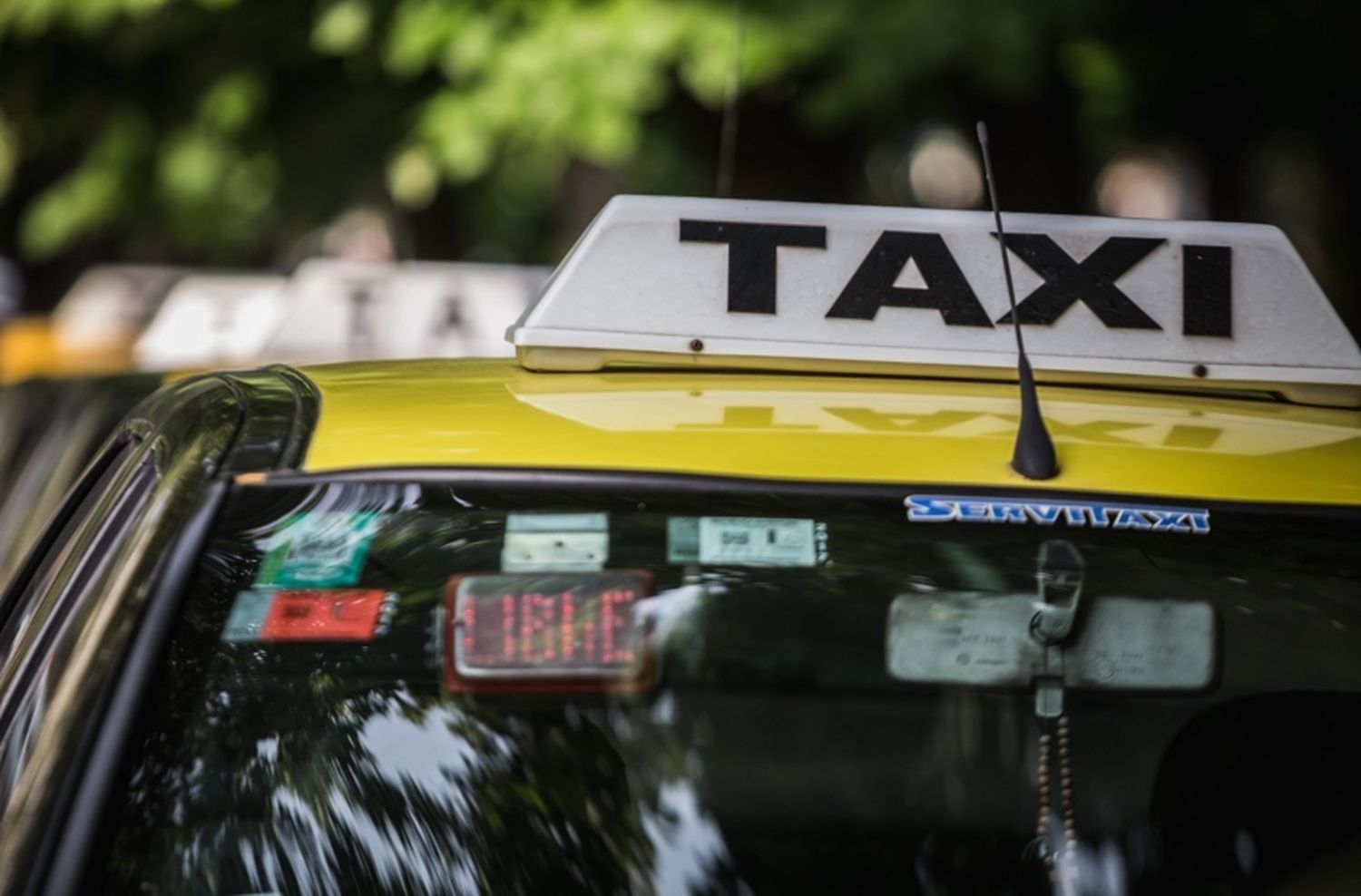La Sociedad de Conductores de Taxis se manifestó a favor de la eliminación del "carnet blanco"