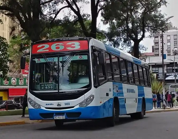 Lomas de Zamora: Chofer que dio positivo de coronavirus "no tuvo contacto con pasajeros" dice la empresa