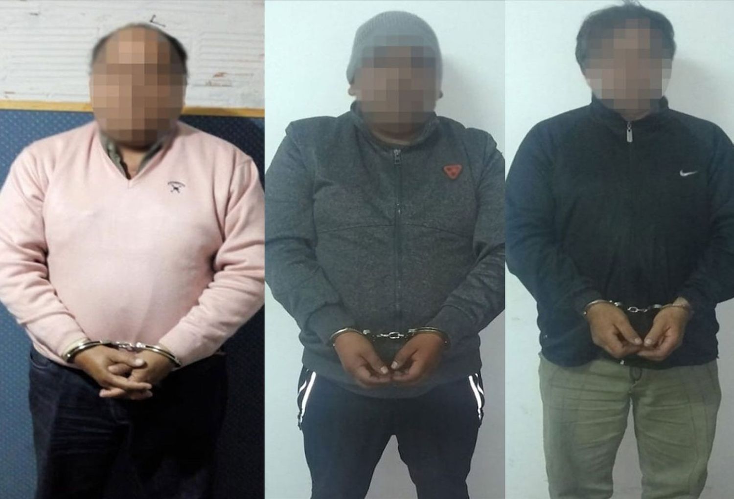 Cayó una banda de narcohortelanos en Salta