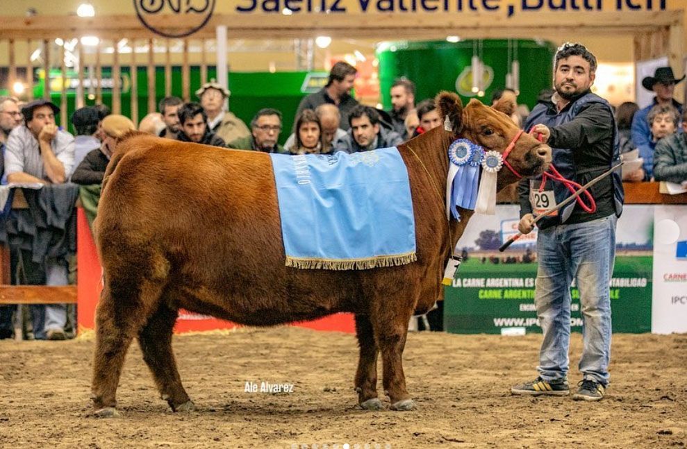 Con Rústicos cargás Premium en el rodeo