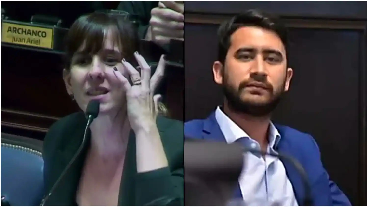 Cruce en Diputados por la violencia de género: Iañez apuntó contra Milei y Sotelo denunció el "uso político de la mujer"