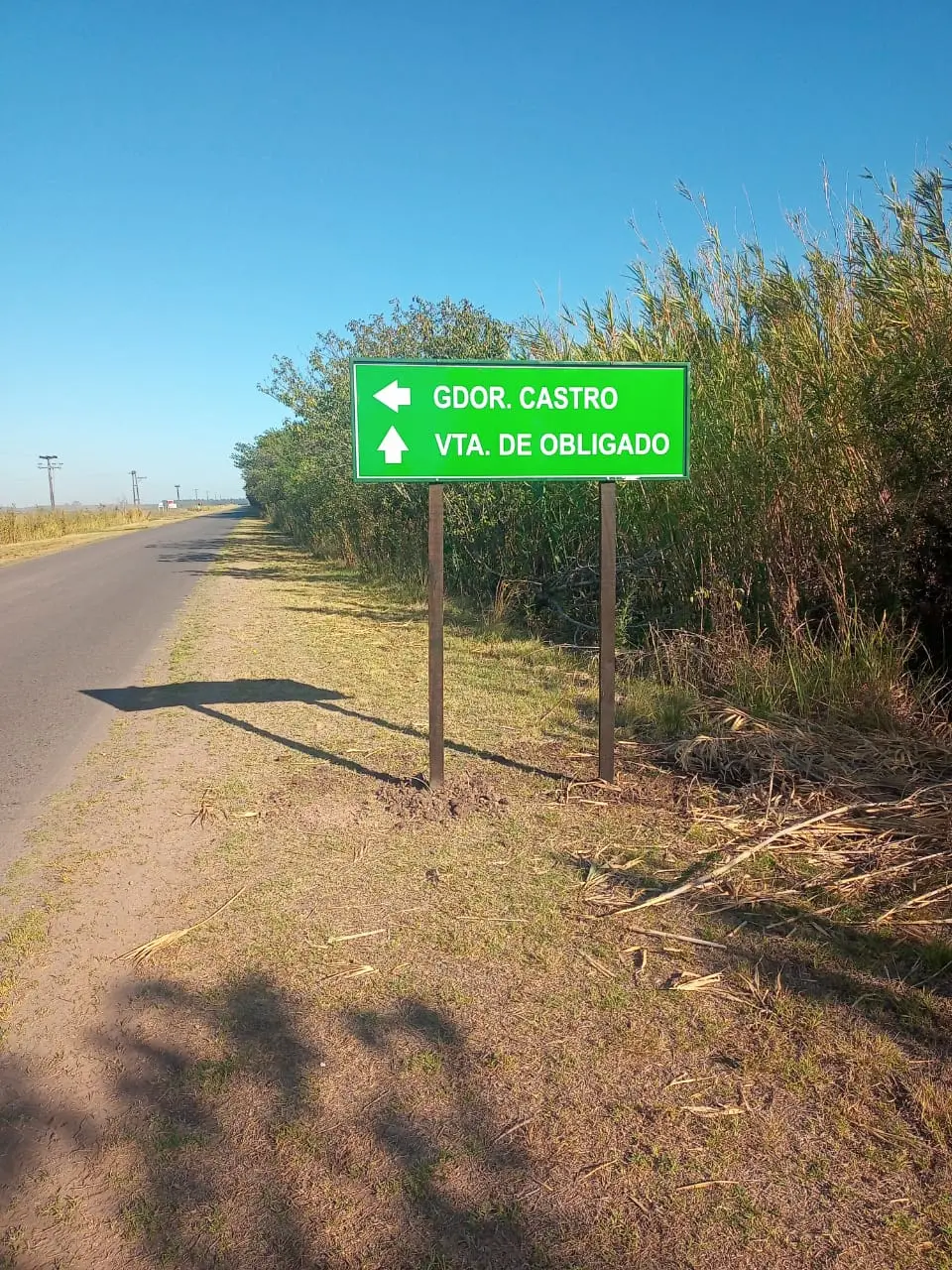 Nuevos carteles