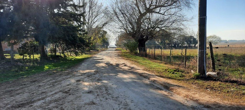 Bajo Tala: “El transporte que lleva a lo chicos a la escuela no vino”