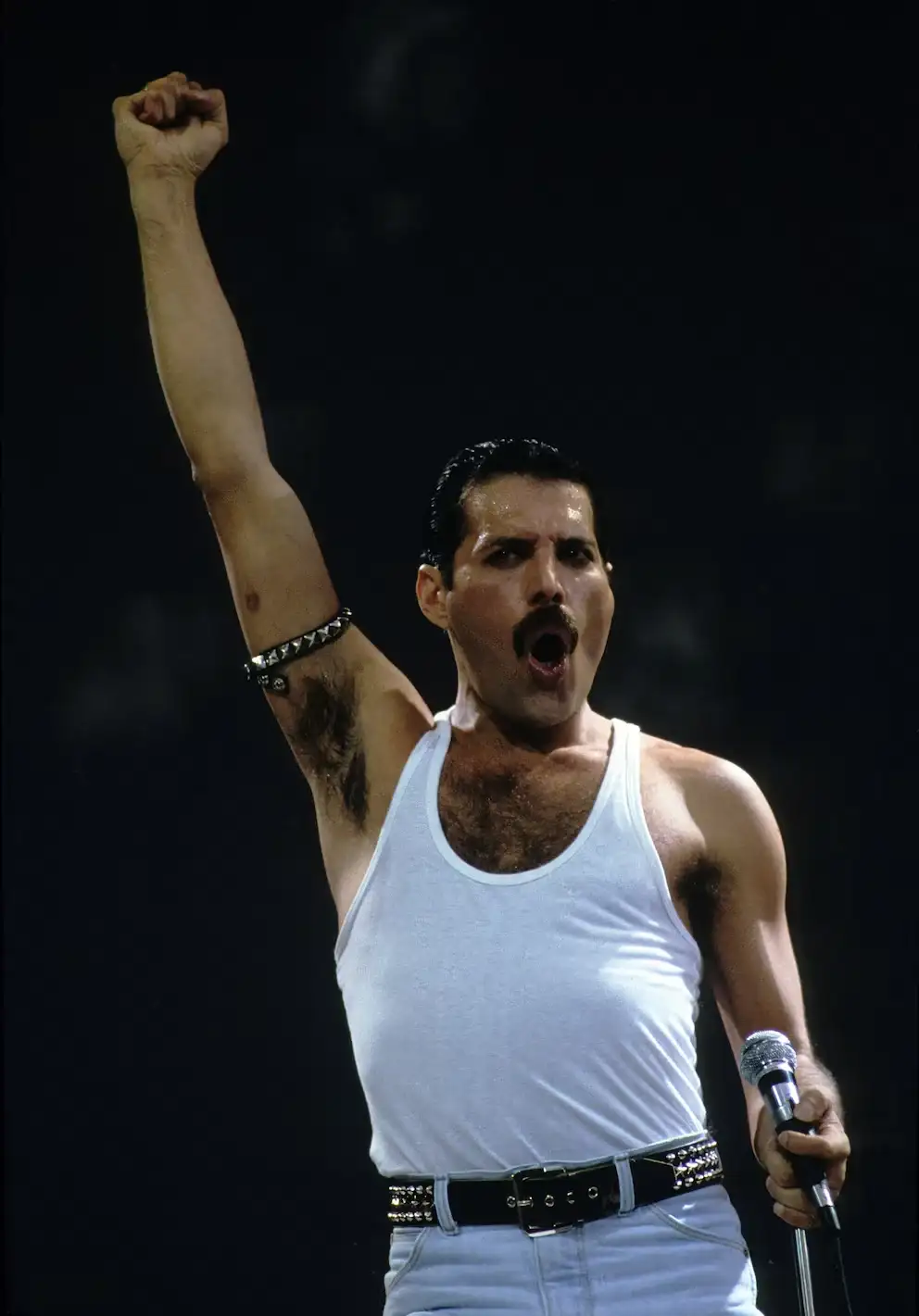 freddie mercury - 2