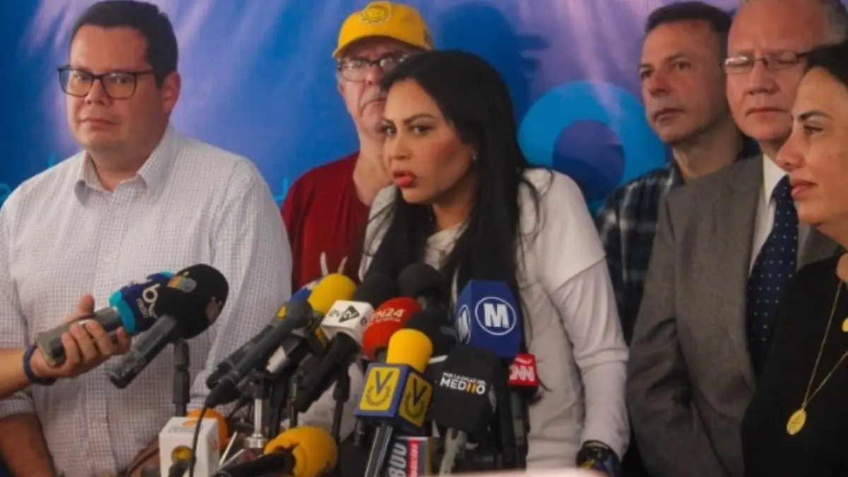 Pero «no borran el dolor de lo sufrido”, refiere Delsa Solórzano sobre las excarcelaciones