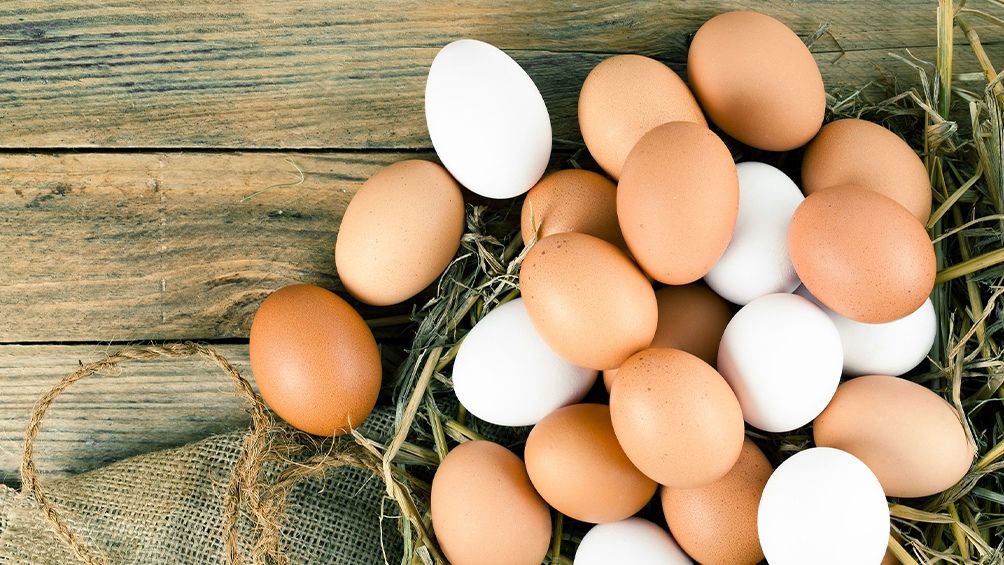 Productores de huevos elogiaron la decisión del Gobierno de eliminar retenciones al sector