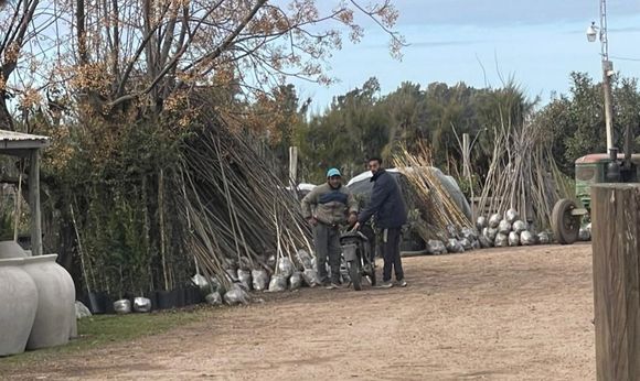 Le robaron las plantas y las recuperó junto a la policía rural en un vivero vecino