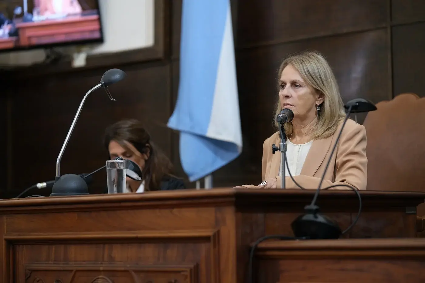 Inclusión, cultura y educación: el Concejo reconoció una amplia agenda de actividades en Concordia