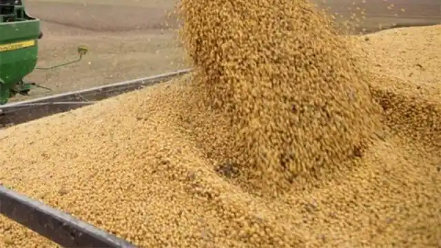 Desarticulan una maniobra de contrabando de soja por casi 14 millones de pesos