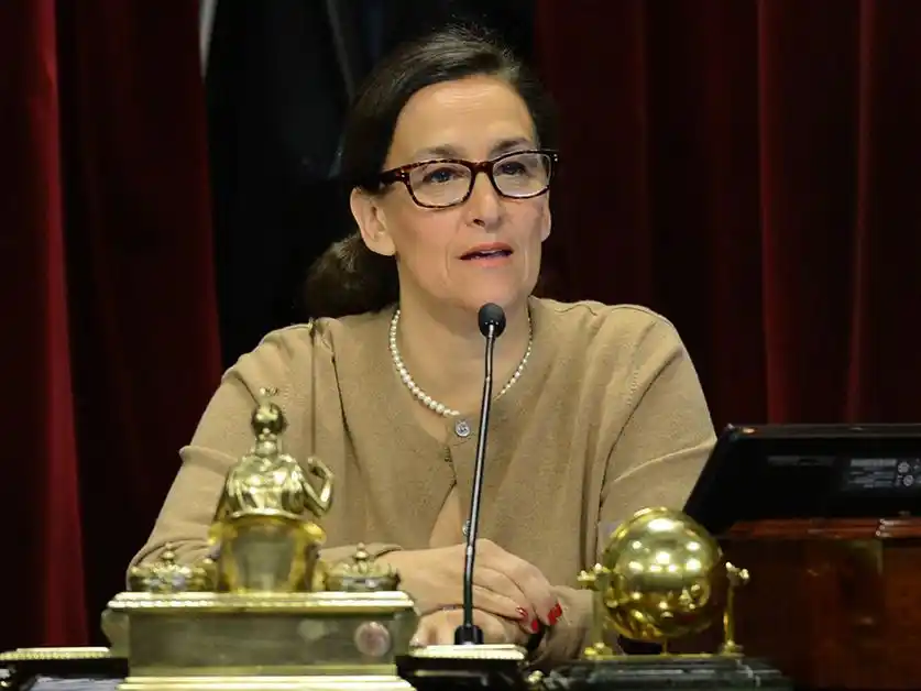 Cortocircuitos en Cambiemos: Cruce entre Michetti y dos senadores radicales