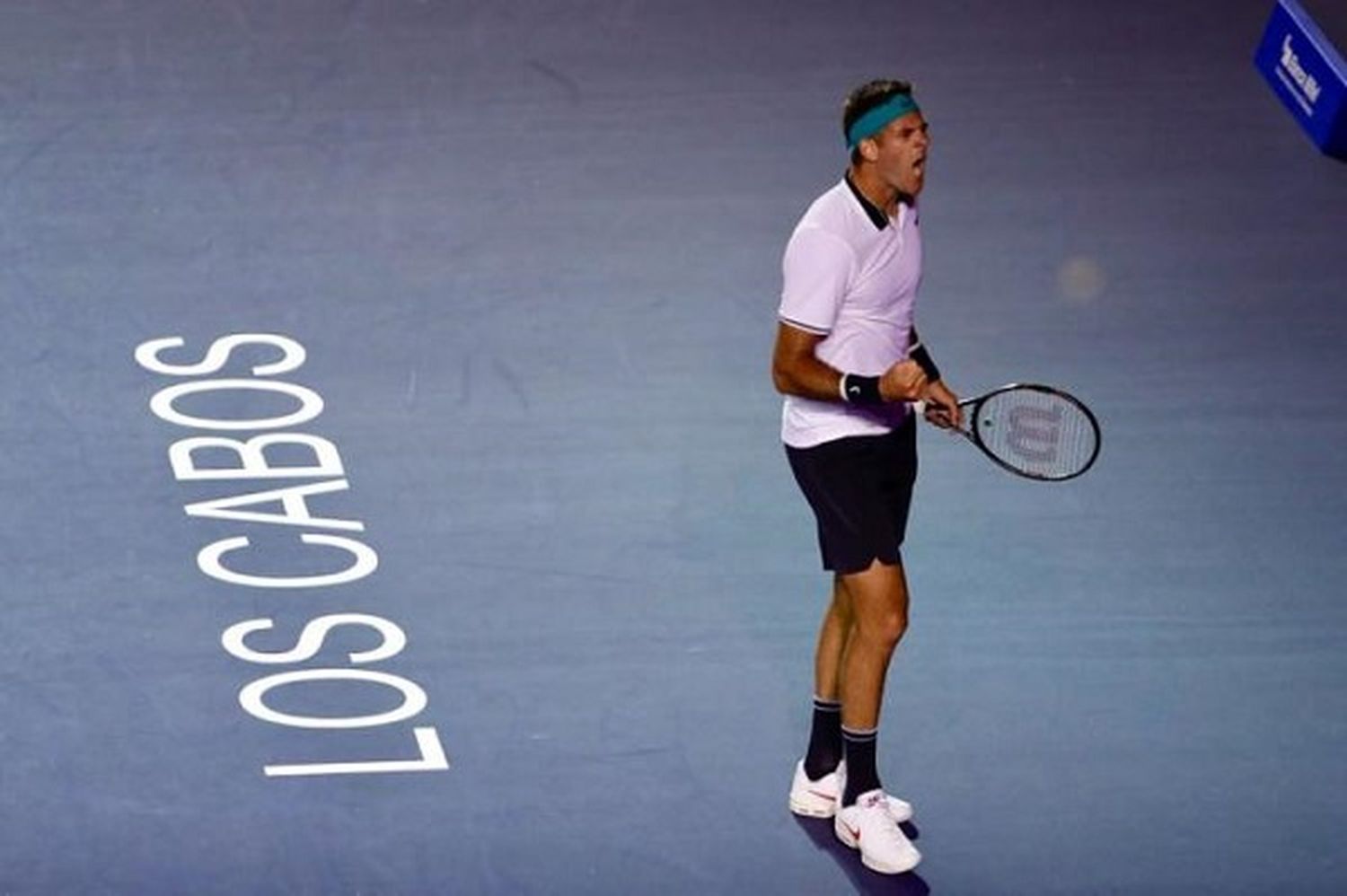 Del Potro juega semifinales ante Dzumhur en Los Cabos