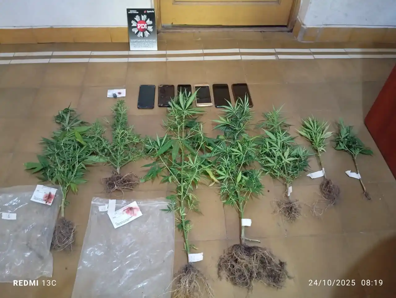 Allanamiento y detención: lo buscaban por robo y le encontraron marihuana y seis celulares