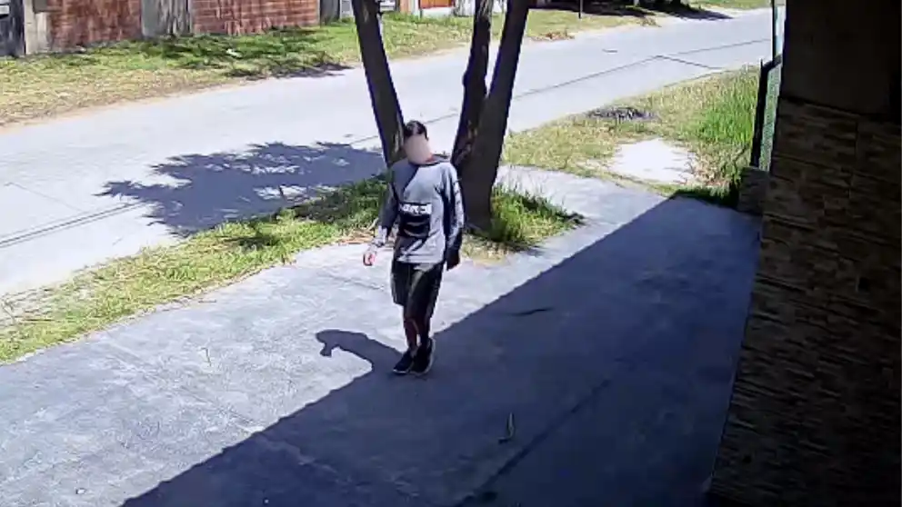 Imágenes captadas por las cámaras de seguridad