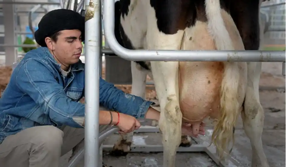 Massa presentó un programa para compensar el precio de la leche a los productores afectados por la sequía