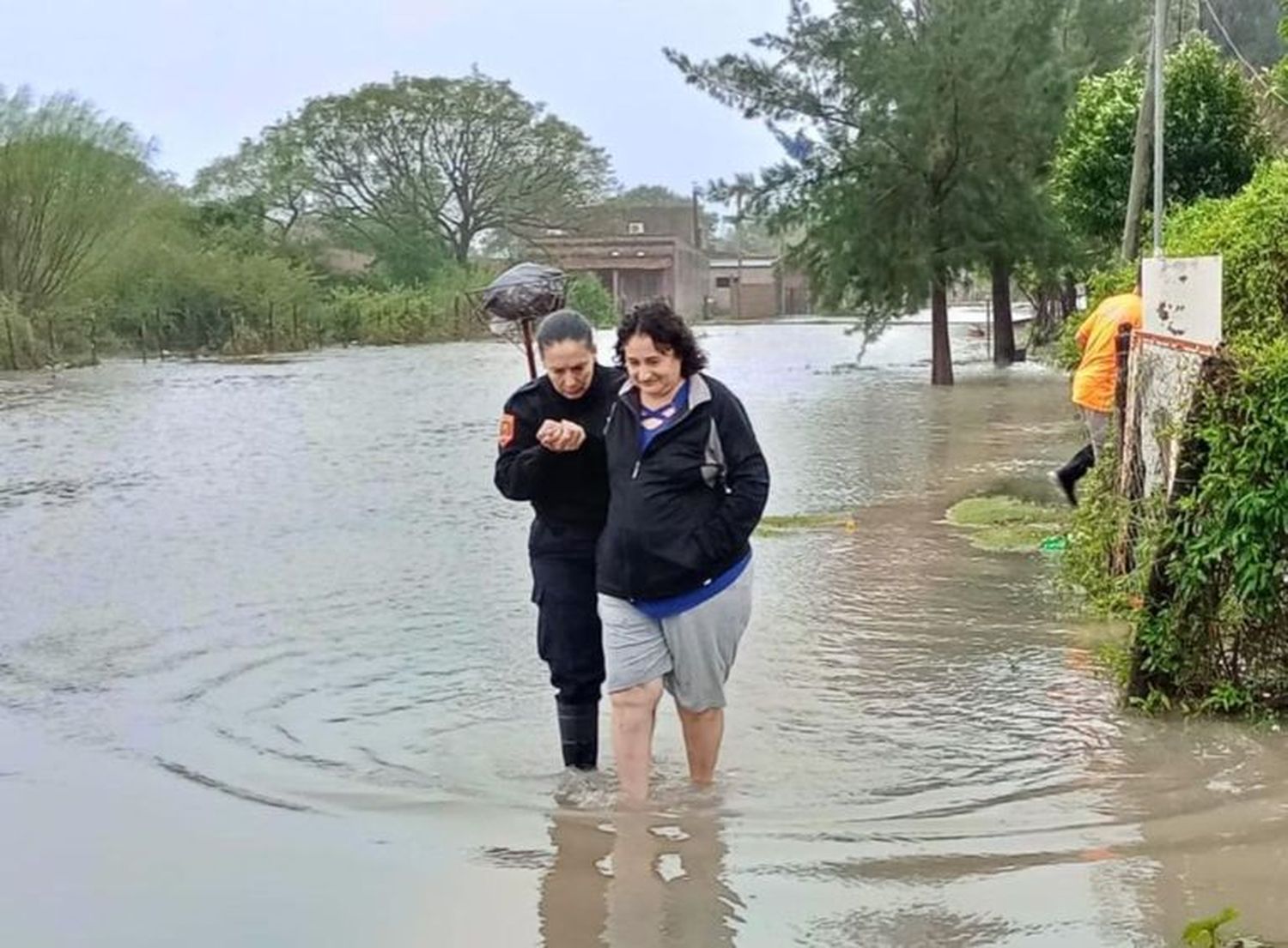 temporal vera