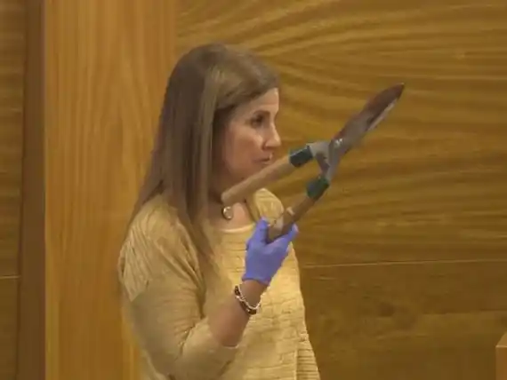 Brenda Barattini, la arquitecta que le mutiló los genitales a su amante, quedó libre