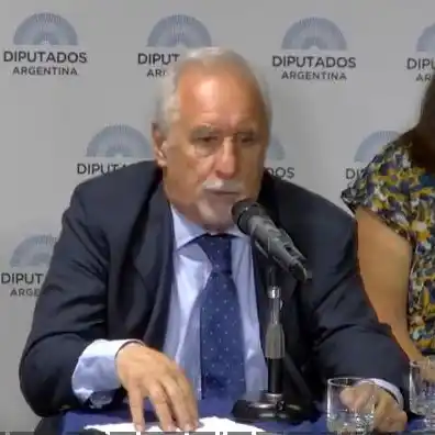 Compendio de la exposición científica sobre Covid y vacunación en Diputados