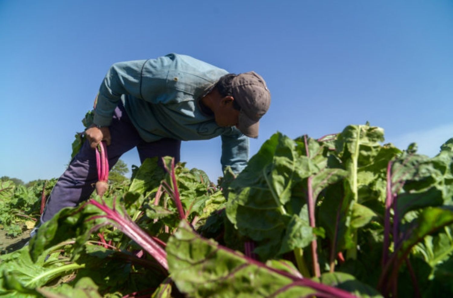 Habilitan la entrega de tierras estatales a productores de la agricultura familiar