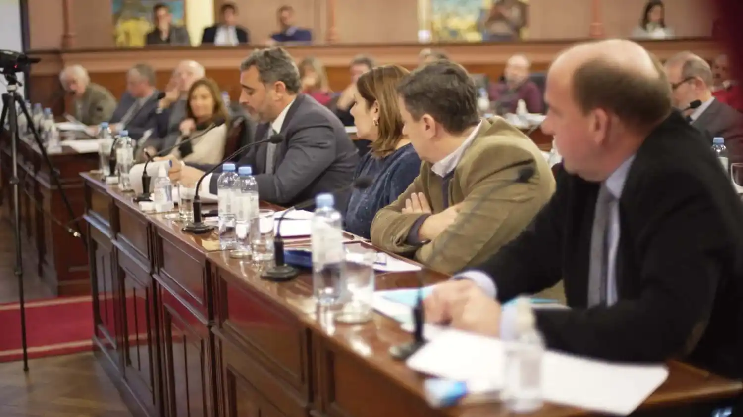 Este martes Diputados tratará en comisión tres proyectos sobre equinoterapia