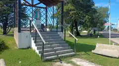 Luciana Cristani (docente): “Hay cada vez más gente haciendo dedo”