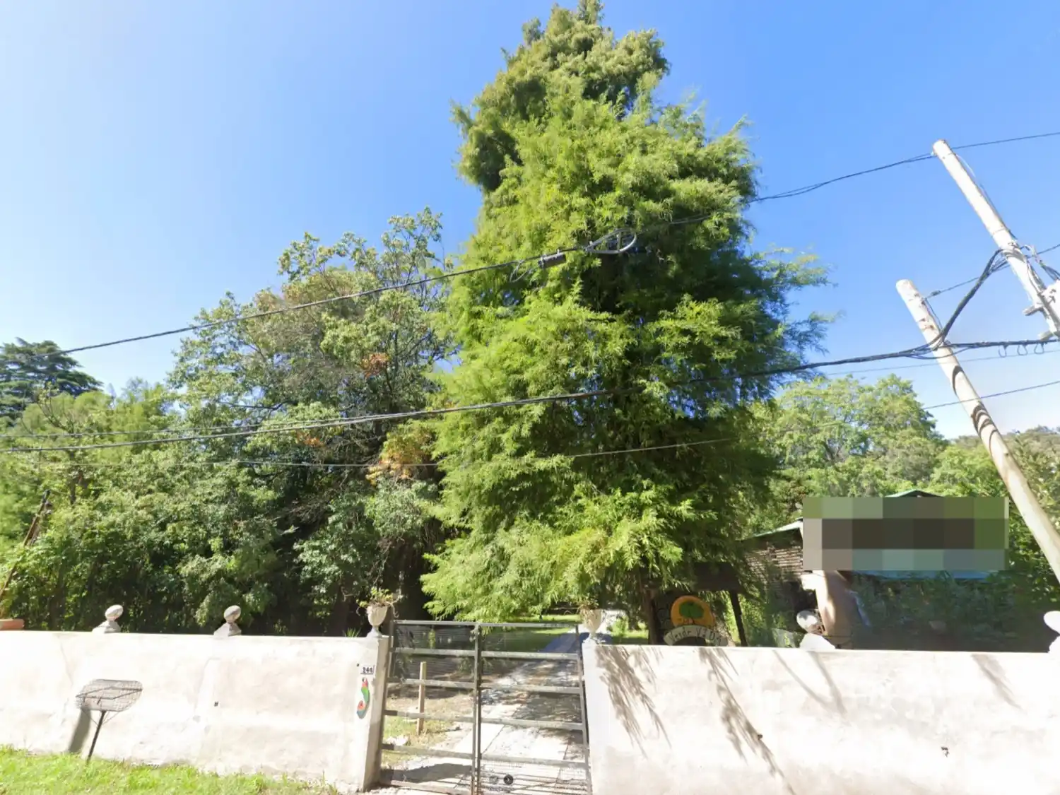 Sin ordenanza que lo impida, avanza la deforestación en terrenos privados de Tandil