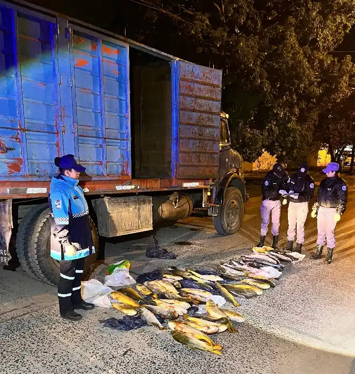 Secuestran carga de pescado ilegal y sin cadena de frío