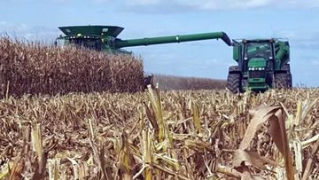 Jornada: “La intensificación sustentable como negocio”