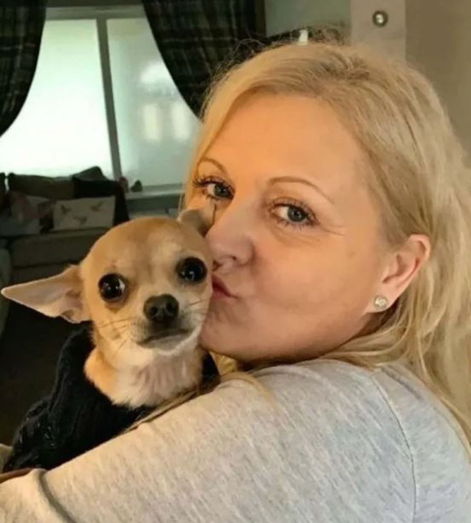 Su chihuahua le defecó en la boca mientras dormía y casi se muere