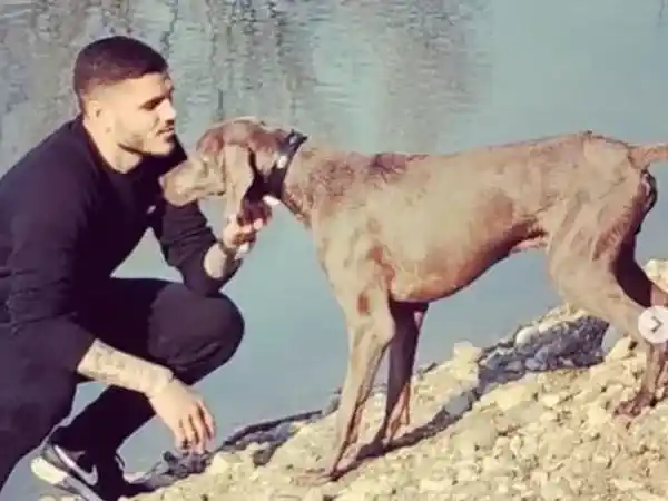 Wanda Nara acusó a Icardi de prender fuego al perro de la familia en la parrilla