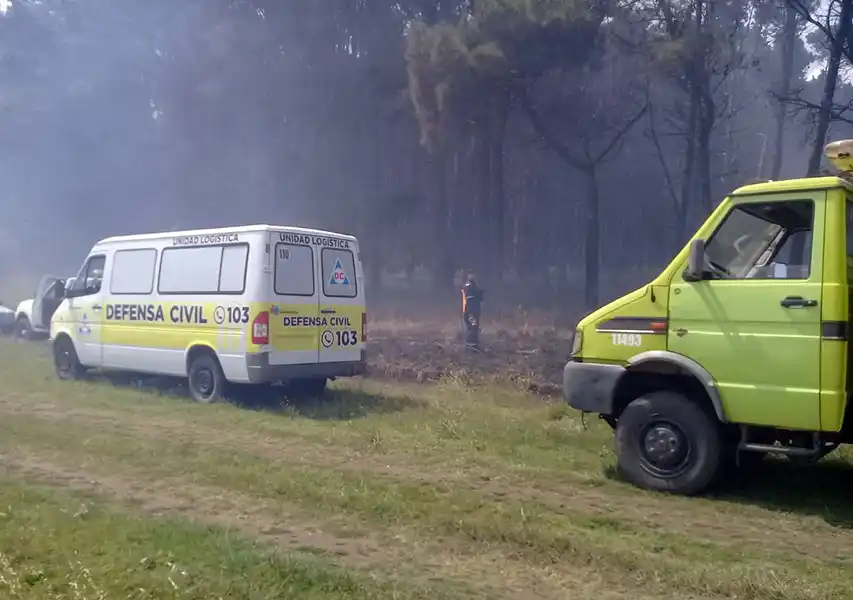 Bomberos combatieron incendios en áreas suburbanas y rurales
