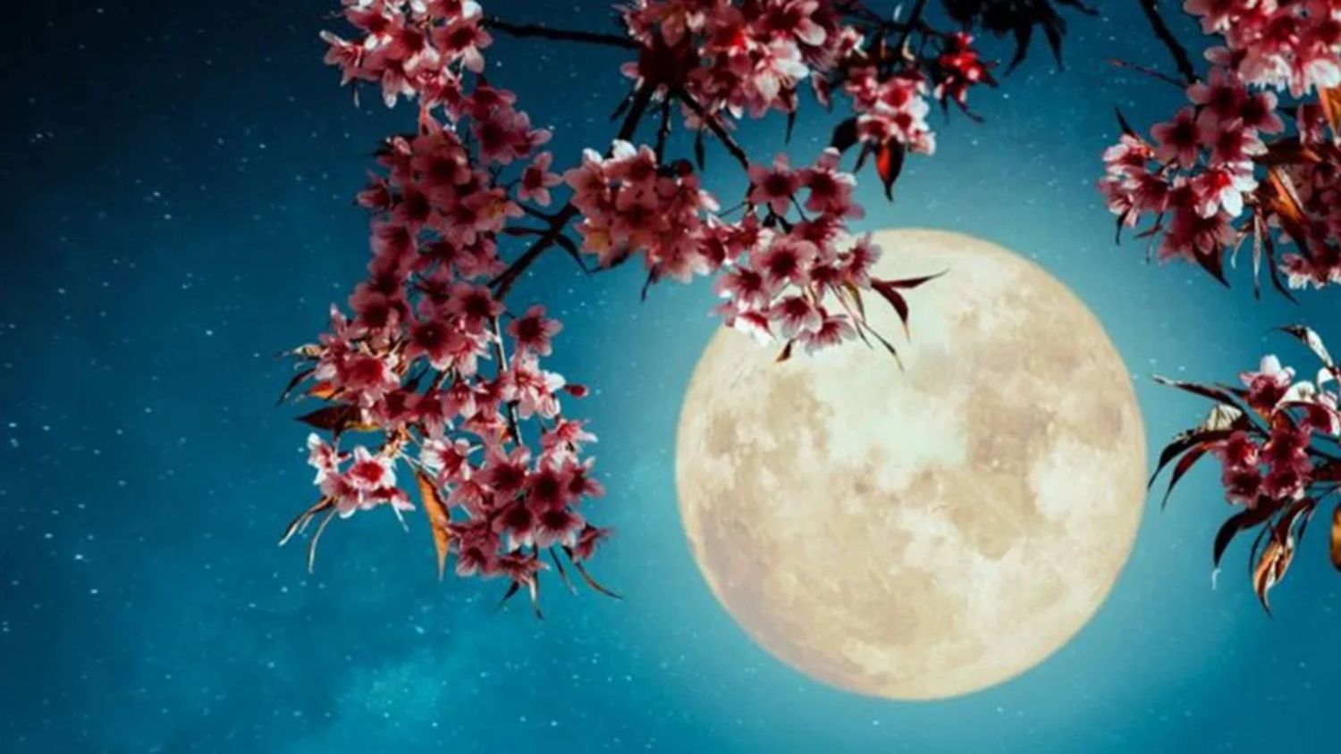 luna de flores